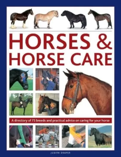 Horses & Horse Care - Judith Draper