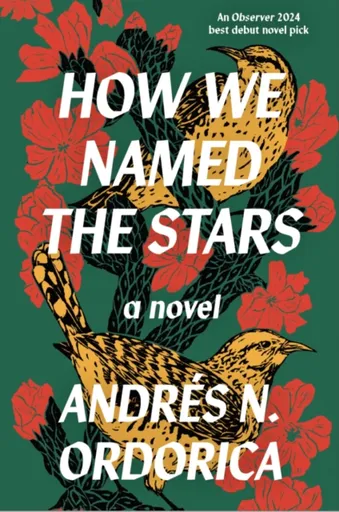 How We Named the Stars - Andres N. Ordorica