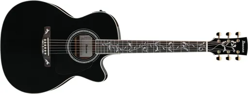 Ibanez AC391RCE Black Top