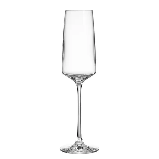 WINE & DINE Sklenice na šampaňské 250 ml