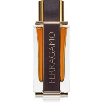 Ferragamo Ferragamo Spicy Leather parfémovaná voda pro muže 100 ml