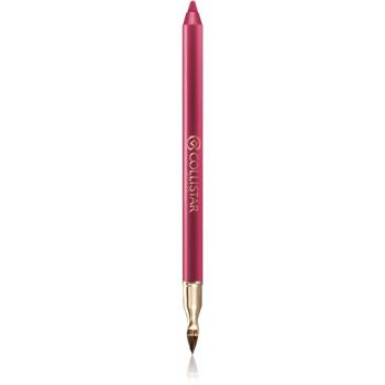 Collistar Professional Lip Pencil dlouhotrvající tužka na rty odstín 113 Autumn Berry 1,2 g