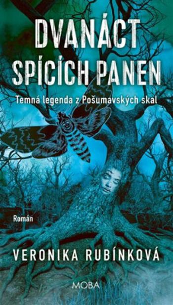 Dvanáct spících panen - Veronika Rubínková