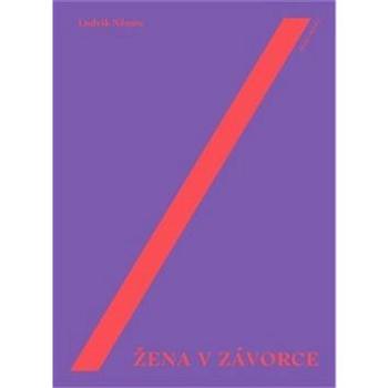 Žena v závorce (978-80-7227-403-1)