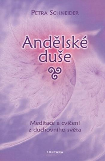 Andělské duše Meditace a cvičení z ducho - Petra Schneider, Gerhard K. Pieroth