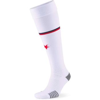 Puma TEAM SKS SPED SOCKS REPLICA Pánské štulpny, bílá, velikost