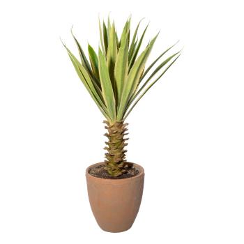 Gasper Umělá rostlina Yucca, 75 cm