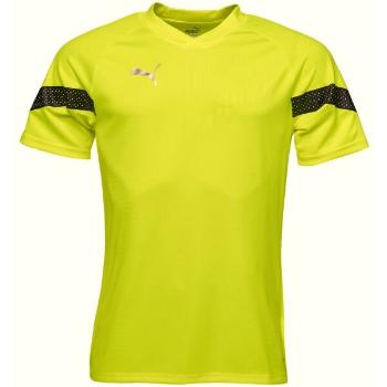 Puma TEAMFINAL TRAINING JERSEY TEE Pánské sportovní triko, světle zelená, velikost