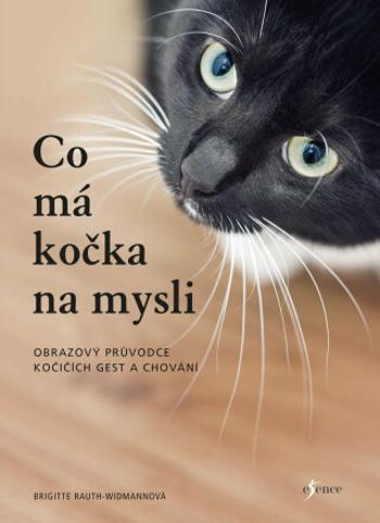 Co má kočka na mysli - Brigitte Rauth–Widmannová