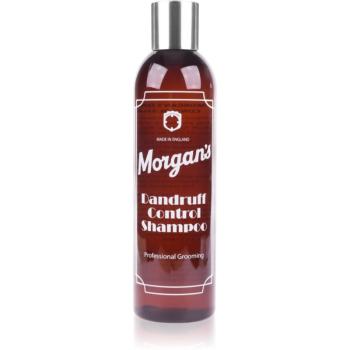 Morgan's Dandruff Control Shampoo šampon proti lupům 250 ml