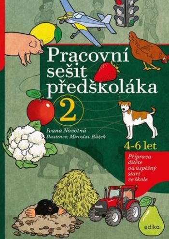 Pracovní sešit předškoláka 2 - Ivana Novotná