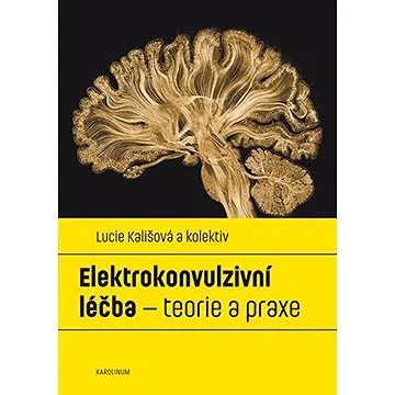Elektrokonvulzivní léčba (9788024643564)