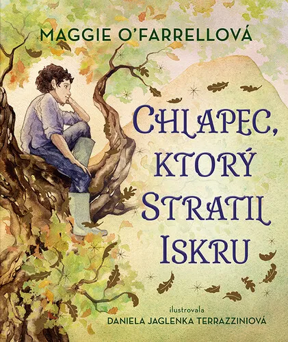 Chlapec, ktorý stratil iskru - Maggie O’Farrellová