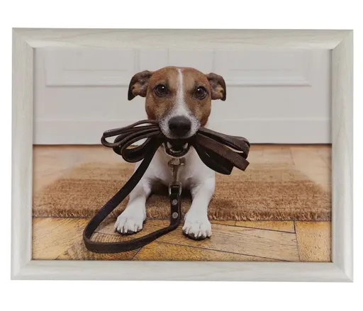 Podnos na nohy se psem Jack Russell - 43*33*7cm RNLTHJR