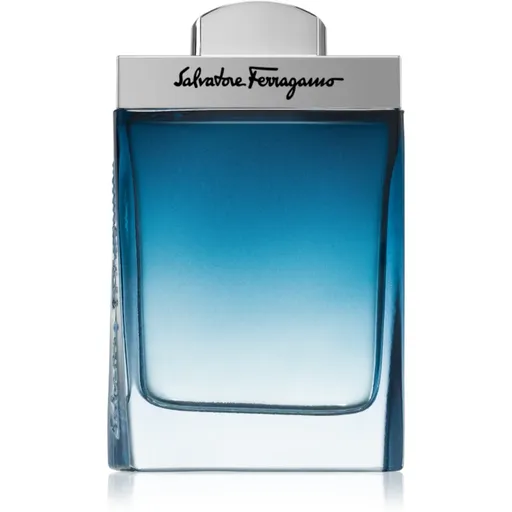 Ferragamo Subtil Pour Homme toaletní voda pro muže 100 ml