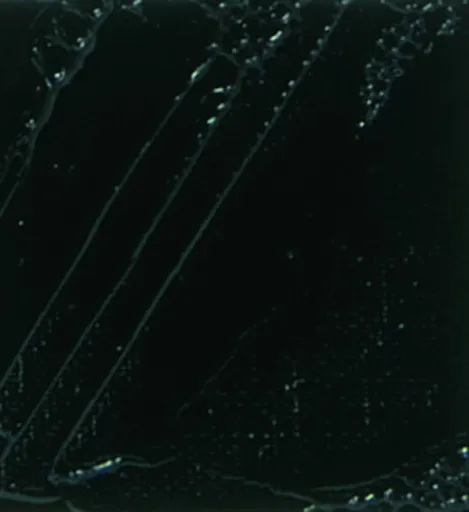 Olejová barva Pébéo XL 200ml – 24 ivory black hue