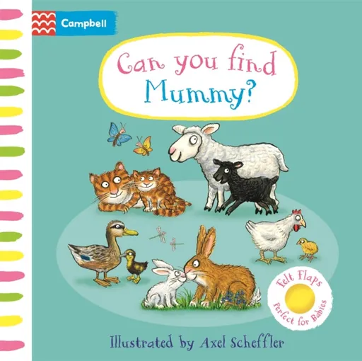 Can You Find Mummy? - Campbell Books