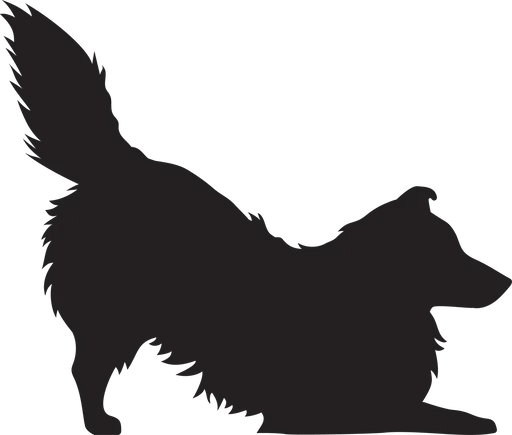 Vsepropejska Sheltie dřevěná dekorace na zeď Rozměr (cm): 26 x 38