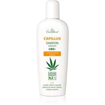 Cannaderm Seborea CBD+ šampon proti lupům 150 ml