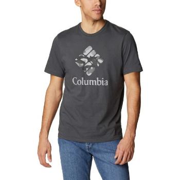 Columbia M RAPID RIDGE GRAPHIC TEE Pánské triko, tmavě šedá, velikost