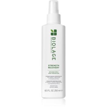 Biolage Strength Recovery Strenght Recovery erősítő spray a károsult hajra 250 ml
