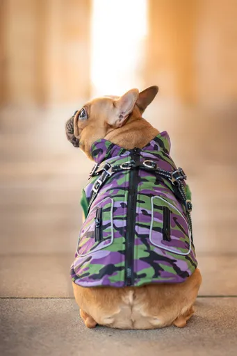 Vsepropejska Pardál zimní bunda pro psa s postrojem Barva: Zelená, Délka zad (cm): 29, Obvod hrudníku: 36 - 44 cm