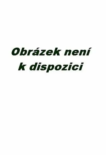 Hlazení duše (v anglickém jazyce) - Václav Budinský