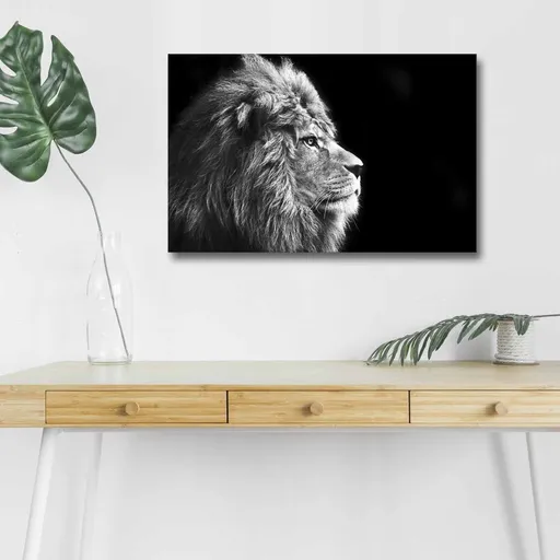 Dekorativní LED osvětlený obraz na plátně 4570DHDACT-058