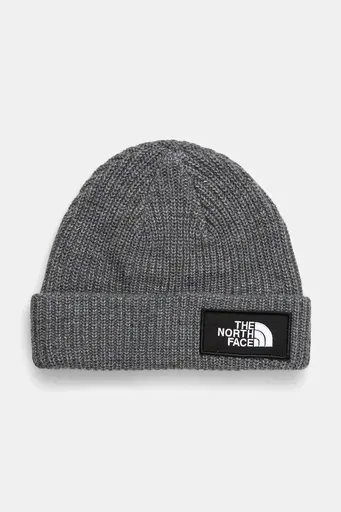 Čepice The North Face Salty Lined