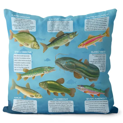 Naučný polštářek – Naše ryby (Velikost: 40 x 40 cm)
