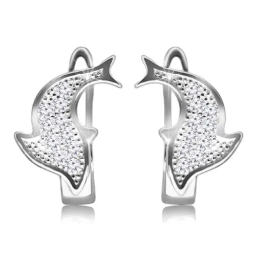Rhodiované náušnice ze stříbra 925 - blýskavý delfín zdobený čirými zirkony