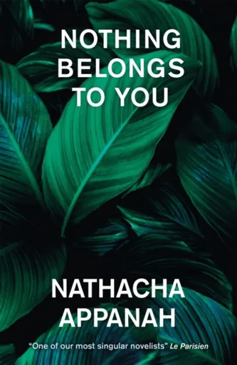 Nothing Belongs to You - Nathacha Appanah