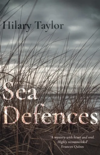 Sea Defences - Hilary Taylor