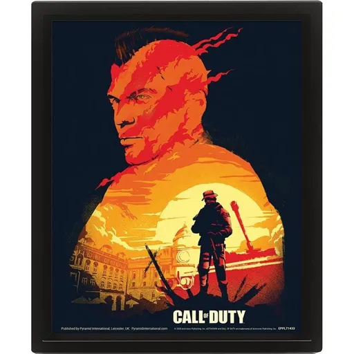 3D Obraz Call of Duty Sunset