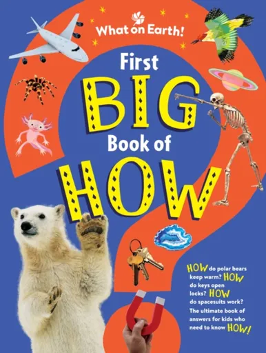 First Big Book of How - Sally Symes, Saranne Taylor