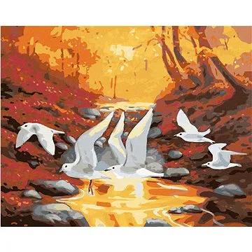 Zuty - Malování podle čísel - VOLAVKY (D. RUSTY RUST), 80x100 cm, vypnuté plátno na rám (HRAmmb02701nad)