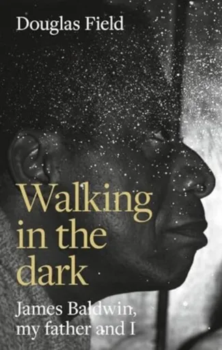 Walking in the Dark - Douglas Field