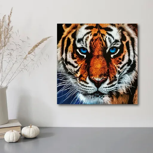 Weltbild Diamantové malování Tygr