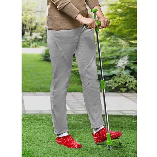 Odstraňovač plevele