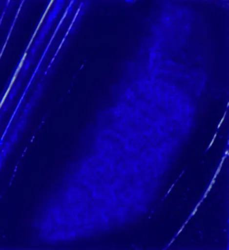 Olejová barva Pébéo XL 200ml – 14 ultramarine blue