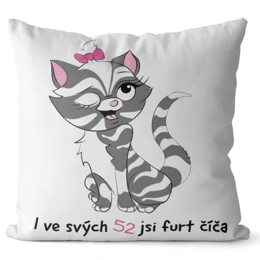 Polštář Jsi číča (Velikost: 40 x 40 cm, věk: 52)