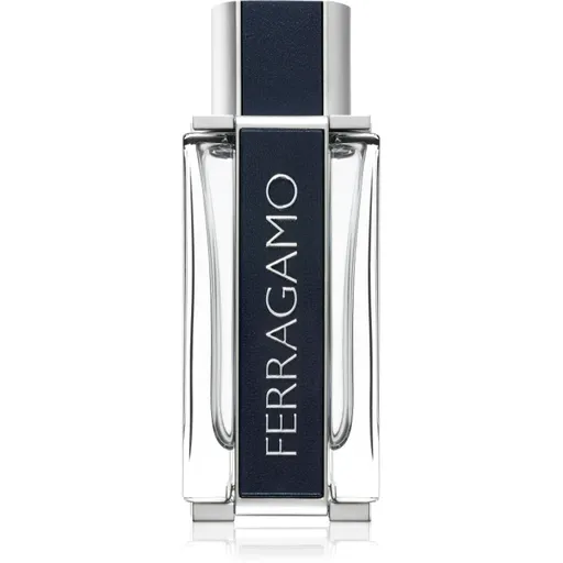 Ferragamo Ferragamo toaletní voda pro muže 100 ml