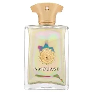 AMOUAGE Fate Man EdP 100 ml (0701666316923)