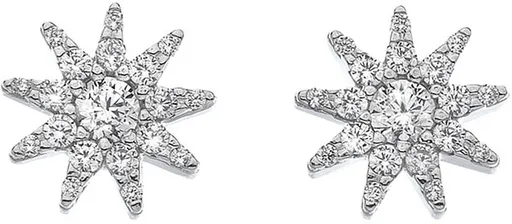 Hot Diamonds Třpytivé stříbrné náušnice Emozioni Stella EE037