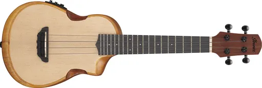 Ibanez AUC10E Natural