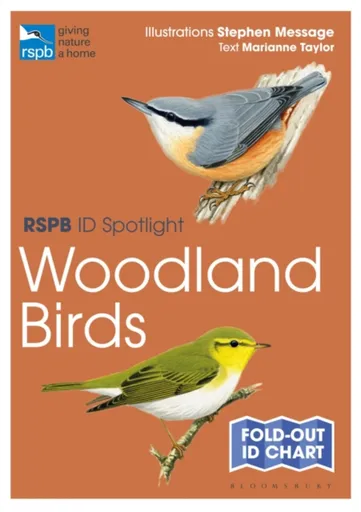 RSPB ID Spotlight - Woodland Birds - Taylor Marianne