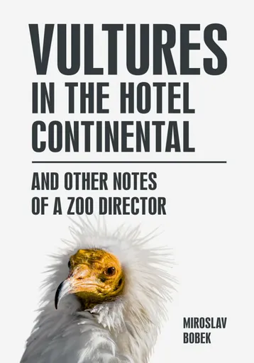 Vultures in the hotel Continental - Miroslav Bobek