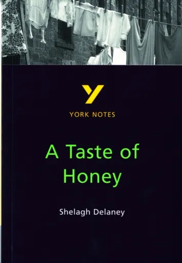 A Taste of Honey York Notes GCSE English Literature Study Guide - for 2026, 2027 exams - Bernadette Dyer