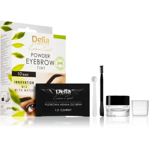 Delia Cosmetics Eyebrow Expert tónovací barva na obočí odstín 1.0 Black 4 g