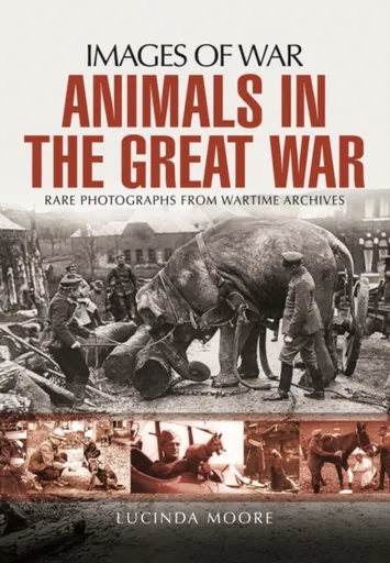 Animals in the Great War - Lucinda Moore